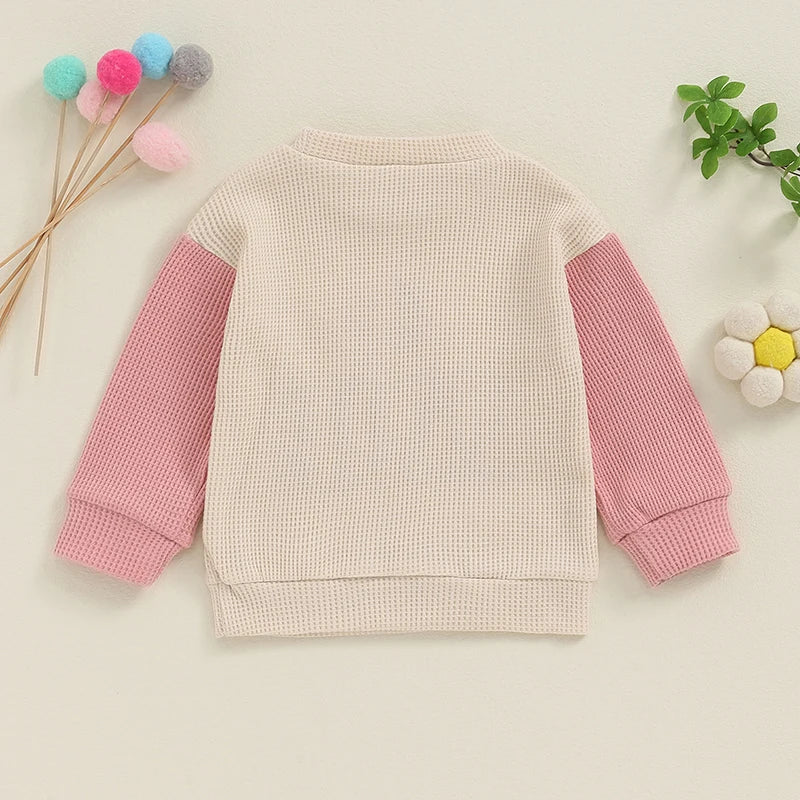 Toddler Clothes Baby Girl Boy Big Sister Crewneck Sweatshirt Big Brother Oversized Sweater Waffle Fall Children's Clothing