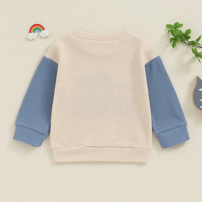 Toddler Clothes Baby Girl Boy Big Sister Crewneck Sweatshirt Big Brother Oversized Sweater Waffle Fall Children's Clothing
