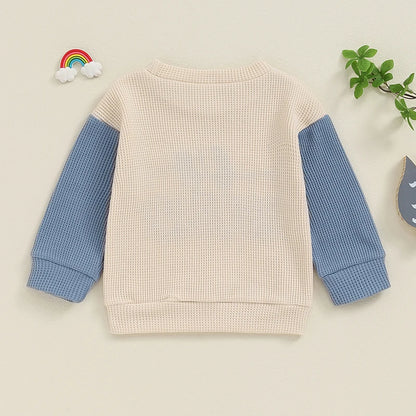 Toddler Clothes Baby Girl Boy Big Sister Crewneck Sweatshirt Big Brother Oversized Sweater Waffle Fall Children's Clothing